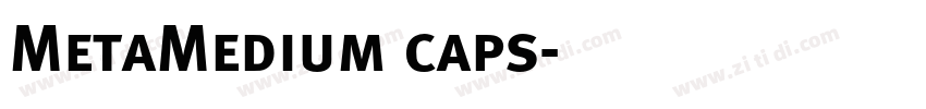 MetaMedium caps字体转换